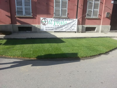 Prato a rotoli esempo lavoro