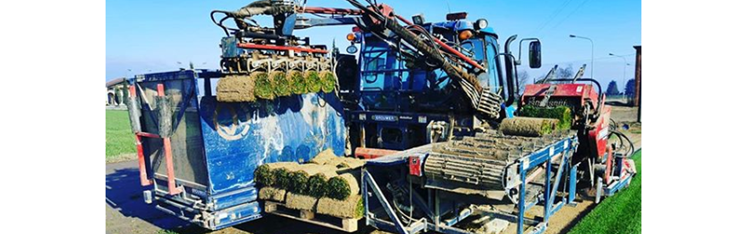  Prato a Rotoli Produzione